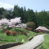立神峡　桜と星空の撮影会