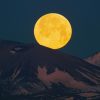 第5回 ASPJ巡回写真展「富山展」開催のお知らせ