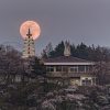 2025年8月号「ふるさとの美しき夜」
