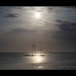 2025年11月号「もう一度、走り出そう」