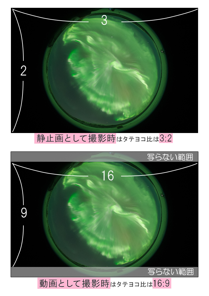 2タテヨコ比説明