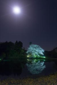 07matsumoto09