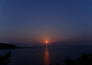20fukusako06