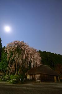 33yasuda02