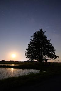 34yasuda18